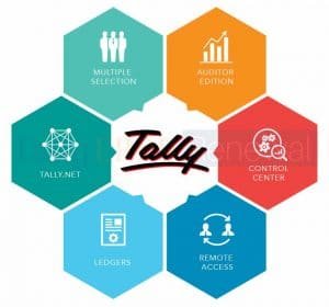 What is Tally? Features, History, Advantage, Disadvantage, Type ...