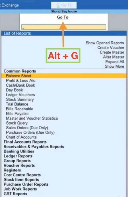 tally shortcut keys excel format